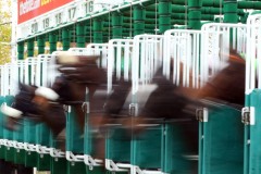 4 November 2018; The  start of The Finale Stakes at Naas.      © Peter Mooney, 59 Upper George's Street, Dun Laoghaire, Co. Dublin, Ireland.    Tel:  00 353 (0)86 2589298