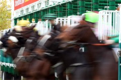 4 November 2018;  The start of The Finale Stakes at Naas.      © Peter Mooney, 59 Upper George's Street, Dun Laoghaire, Co. Dublin, Ireland.    Tel:  00 353 (0)86 2589298