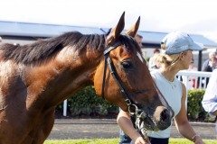 5 August 2019;   AUXILIA after she had won The Irish Stallion Farms European Breeders Fund Fillies Median Auction Maiden at Naas.      © Peter Mooney, 59 Upper George's Street, Dun Laoghaire, Co. Dublin, Ireland.    Tel:  00 353 (0)86 2589298