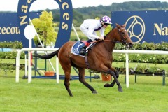 5 August 2019;  CUBAN SURFER and Gavin Ryan winning The Naas Racecourse Apprentice Handicap at Naas.      © Peter Mooney, 59 Upper George's Street, Dun Laoghaire, Co. Dublin, Ireland.    Tel:  00 353 (0)86 2589298