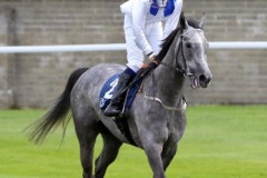 5 August 2019;   SHE'S MY DREAM and Sean Byrne return after their success in The Naas Racecourse Handicap at Naas.      © Peter Mooney, 59 Upper George's Street, Dun Laoghaire, Co. Dublin, Ireland.    Tel:  00 353 (0)86 2589298