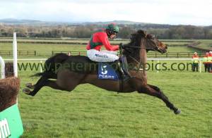 mallowney-050114pml0746