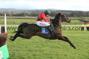 mallowney-050114pml0746 mallowney-050114pml0746
