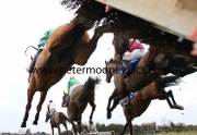 hurdle-pml-00115943