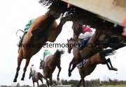 hurdle-pml-00115943