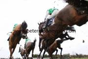 hurdle-pml-00115944