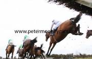 hurdle-pml-00115947