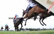 hurdle-pml-00115961