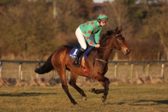 A Fine Young Man PML 00111023.JPG