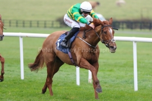 6 Novemberber 2020;  Barrington Court is guided to success by Tom Madden in The Naas Racecourse Business Club Finale Stakes at The Curragh. © Peter Mooney, 59 Upper George's Street, Dun Laoghaire, Co. Dublin, A96 H2R3, Ireland  Tel: 00 353 (0)86 2589298