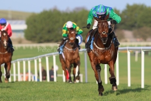 Champ Kiely 080123PML0487.jpg