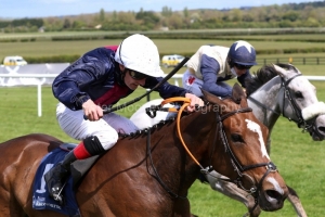 8 May 2021;   Insinuendo, Declan McDonogh up, winning The Irish Stallion Farms European Breeders Fund Blue Wind Stakes at Naas.© Peter Mooney, 59 Upper George's Street, Dun Laoghaire, Co. Dublin, A96 H2R3, Ireland  Tel: 00 353 (0)86 2589298