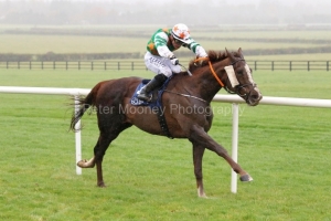 1 Novemberber 2020;  Saltonstall and Gavin Ryan winning The Glencairn Stakes at Naas. © Peter Mooney, 59 Upper George's Street, Dun Laoghaire, Co. Dublin, A96 H2R3, Ireland  Tel: 00 353 (0)86 2589298