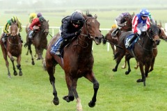 1 Novemberber 2020;  Hector De Maris, Seamie Heffernan up, winning The Naas Nursery Handicap at Naas. © Peter Mooney, 59 Upper George's Street, Dun Laoghaire, Co. Dublin, A96 H2R3, Ireland  Tel: 00 353 (0)86 2589298