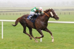 1 Novemberber 2020;  Saltonstall and Gavin Ryan winning The Glencairn Stakes at Naas. © Peter Mooney, 59 Upper George's Street, Dun Laoghaire, Co. Dublin, A96 H2R3, Ireland  Tel: 00 353 (0)86 2589298