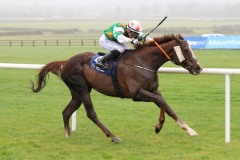 1 Novemberber 2020;  Saltonstall and Gavin Ryan winning The Glencairn Stakes at Naas. © Peter Mooney, 59 Upper George's Street, Dun Laoghaire, Co. Dublin, A96 H2R3, Ireland  Tel: 00 353 (0)86 2589298