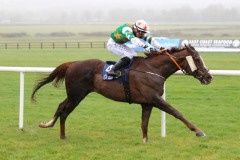 1 Novemberber 2020;  Saltonstall and Gavin Ryan winning The Glencairn Stakes at Naas. © Peter Mooney, 59 Upper George's Street, Dun Laoghaire, Co. Dublin, A96 H2R3, Ireland  Tel: 00 353 (0)86 2589298
