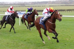 1 Novemberber 2020; Storm Legend, in the hands of Chris Hayes, provides John Oxx with his final training success in The Irish Stallion Farms European Breeders Fund Maiden at Naas. © Peter Mooney, 59 Upper George's Street, Dun Laoghaire, Co. Dublin, A96 H2R3, Ireland  Tel: 00 353 (0)86 2589298