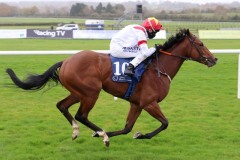 1 Novemberber 2020; Storm Legend, in the hands of Chris Hayes, provides John Oxx with his final training success in The Irish Stallion Farms European Breeders Fund Maiden at Naas. © Peter Mooney, 59 Upper George's Street, Dun Laoghaire, Co. Dublin, A96 H2R3, Ireland  Tel: 00 353 (0)86 2589298