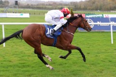 1 Novemberber 2020; Storm Legend, in the hands of Chris Hayes, provides John Oxx with his final training success in The Irish Stallion Farms European Breeders Fund Maiden at Naas. © Peter Mooney, 59 Upper George's Street, Dun Laoghaire, Co. Dublin, A96 H2R3, Ireland  Tel: 00 353 (0)86 2589298