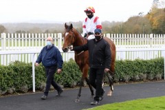 1 Novemberber 2020; Storm Legend, Chris Hayes up, returns to the winner's enclosure after having given John Oxx his final training success in The Irish Stallion Farms European Breeders Fund Maiden at Naas. © Peter Mooney, 59 Upper George's Street, Dun Laoghaire, Co. Dublin, A96 H2R3, Ireland  Tel: 00 353 (0)86 2589298