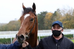 1 Novemberber 2020; Storm Legend after he had given John Oxx his final training success in The Irish Stallion Farms European Breeders Fund Maiden at Naas. © Peter Mooney, 59 Upper George's Street, Dun Laoghaire, Co. Dublin, A96 H2R3, Ireland  Tel: 00 353 (0)86 2589298
