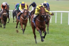 1 Novemberber 2020;   With Thanks and Chris Hayes storm to victory in The Irish Stallion Farms European Breeders Fund Athasi Stakes at Naas. © Peter Mooney, 59 Upper George's Street, Dun Laoghaire, Co. Dublin, A96 H2R3, Ireland  Tel: 00 353 (0)86 2589298