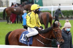 1 Novemberber 2020;   With Thanks and Chris Hayes return to the winner's enclosure after their victory in The Irish Stallion Farms European Breeders Fund Athasi Stakes at Naas. © Peter Mooney, 59 Upper George's Street, Dun Laoghaire, Co. Dublin, A96 H2R3, Ireland  Tel: 00 353 (0)86 2589298
