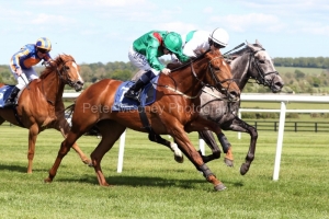 11 May 2019; TARNAWA, Chris Hayes up, nearside, proves to be just superior to Who's Steph, Colin Keane up, in The Irish National Stud Racing Irish European Breeders Fund Blue Wind Stakes at Naas.© Peter Mooney, 59 Upper George's Street, Dun Laoghaire, Co. Dublin, Ireland.    Tel:  00 353 (0)86 2589298