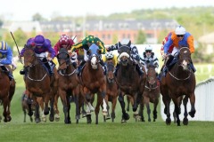 11 May 2019;  PLOUGH BOY, Shane Crosse aboard, right, proves to be just too strong for Teddy Boy, Danny Sheehy up, left, and Verhoyen, Billy Lee up, blinkers, in The Caragh Nurseries Handicap at Naas.© Peter Mooney, 59 Upper George's Street, Dun Laoghaire, Co. Dublin, Ireland.    Tel:  00 353 (0)86 2589298
