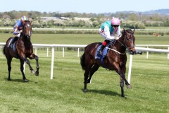 11 May 2019;  SISKIN and Colin Keane run out easy winners over Harpocrates, Donnacha O'Brien up, in The Irish Stallion Farms European Breeders Fund Race at Naas.© Peter Mooney, 59 Upper George's Street, Dun Laoghaire, Co. Dublin, Ireland.    Tel:  00 353 (0)86 2589298