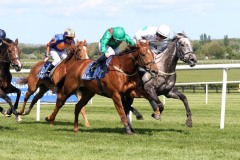 11 May 2019; TARNAWA, Chris Hayes up, nearside, proves to be just superior to Who's Steph, Colin Keane up, in The Irish National Stud Racing Irish European Breeders Fund Blue Wind Stakes at Naas.© Peter Mooney, 59 Upper George's Street, Dun Laoghaire, Co. Dublin, Ireland.    Tel:  00 353 (0)86 2589298