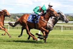11 May 2019; TARNAWA, Chris Hayes up, nearside, proves to be just superior to Who's Steph, Colin Keane up, in The Irish National Stud Racing Irish European Breeders Fund Blue Wind Stakes at Naas.© Peter Mooney, 59 Upper George's Street, Dun Laoghaire, Co. Dublin, Ireland.    Tel:  00 353 (0)86 2589298