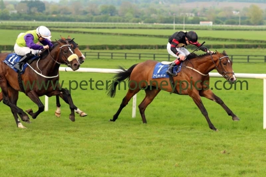 flying-bullet-110516pml445