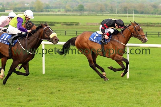 flying-bullet-110516pml448