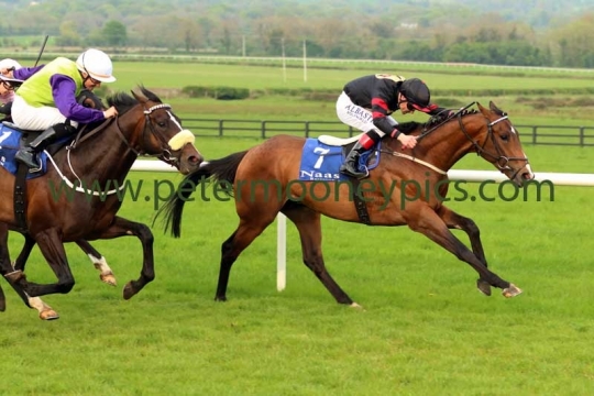 flying-bullet-110516pml449