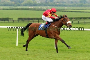zhukova-110516pml391 zhukova-110516pml391