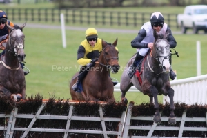 Irish Point 120323PML0401.jpg