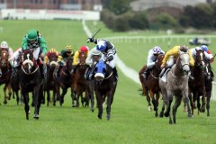 Hallie's Comet PML 0078661.JPG