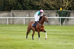 13 April 2019;   IMAGING, Oisin Orr up, returns after his success in The Gladness Stakes at Naas.      © Peter Mooney, 59 Upper George's Street, Dun Laoghaire, Co. Dublin, Ireland.    Tel:  00 353 (0)86 2589298