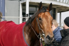 13 April 2019; MONARCH OF EGYPT after he had won The Irish Stallion Farms European Breeders Fund Race at Naas.      © Peter Mooney, 59 Upper George's Street, Dun Laoghaire, Co. Dublin, Ireland.    Tel:  00 353 (0)86 2589298