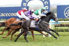 13 April 2019;   REAL FORCE, Killian Leonard up, nearside, defeating, Shining Forth, Conor Hoban up, centre, and Capel At Dawn, Leigh Roche up, in The Foran Equine Irish European Breeders Fund Auction Maiden at Naas.      © Peter Mooney, 59 Upper George's Street, Dun Laoghaire, Co. Dublin, Ireland.    Tel:  00 353 (0)86 2589298