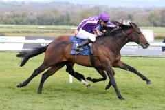13 April 2019;  SOUTH PACIFIC, Dnnacha O'Brien up, nearside, proves just too strong for stablemate, Barbados, Ryan Moore up, in The Irish Stallion Farms European Breeders Fund Maiden at Naas.      © Peter Mooney, 59 Upper George's Street, Dun Laoghaire, Co. Dublin, Ireland.    Tel:  00 353 (0)86 2589298