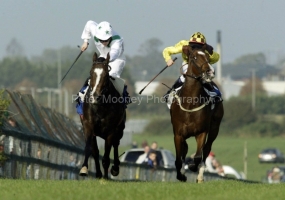 Fourpenny Lane PML 0052742.JPG