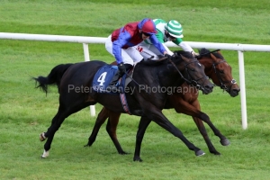 Leinster-House-Nero-Tulip-160921PML0438