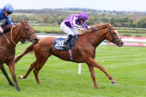 Toy 161022PML01021.jpg