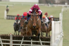 Case Study PML 00107935.JPG