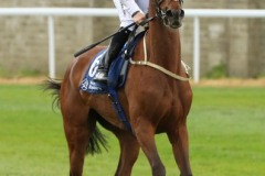 19 May 2019;  KAFTAN, Colin Keane, after she had won The Irish Stallion Farms European Breeders Fund Fillies Maiden at Naas.      © Peter Mooney, 59 Upper George's Street, Dun Laoghaire, Co. Dublin, Ireland.    Tel:  00 353 (0)86 2589298