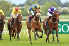 19 May 2019;  SURROUNDING, Shane Foley up, noseband, defeating Chessman, Oisin Orr up, and King's Field, Donnacha O'Brien up, in The Owenstown Stud Stakes at Naas.      © Peter Mooney, 59 Upper George's Street, Dun Laoghaire, Co. Dublin, Ireland.    Tel:  00 353 (0)86 2589298