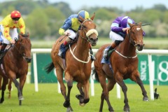 19 May 2019;  SURROUNDING, Shane Foley up, noseband, defeating Chessman, Oisin Orr up, and King's Field, Donnacha O'Brien up, in The Owenstown Stud Stakes at Naas.      © Peter Mooney, 59 Upper George's Street, Dun Laoghaire, Co. Dublin, Ireland.    Tel:  00 353 (0)86 2589298